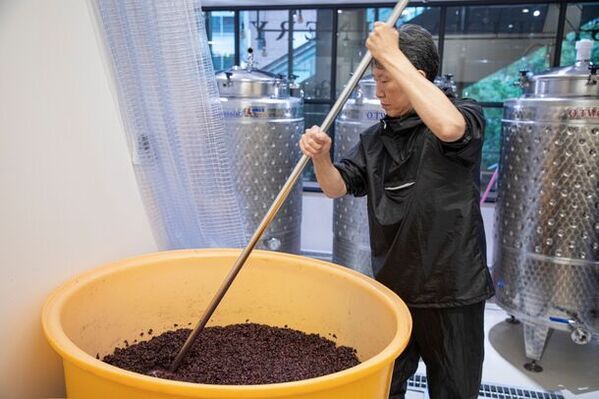 渋谷ワイナリー東京から早すぎる新酒を先行販売　～発酵終了からわずか1か月の濁り酒を提供開始～