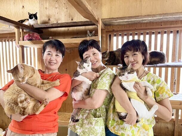 106匹の保護猫と3頭の保護犬のシェルター存続プロジェクト　CAMPFIREにて9月30日までクラウドファンディングを実施