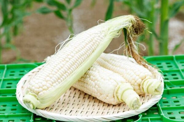 上士幌町の無人運営ストア「かみしほろマルシェ」にて地元農場の高品質野菜を販売開始　～地域おこし協力隊が開発した商品も常時販売中～