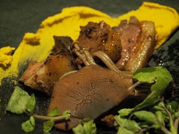 京都のジビエ専門店「地球の幸せを夢みるバク」がジビエをふんだんに使ったジビエ料理のコースを開始