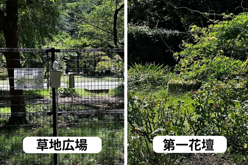 AI音環境分析技術Bamiel(バミエル)で、日比谷公園の“にぎわい”と鳥の鳴き声を可視化