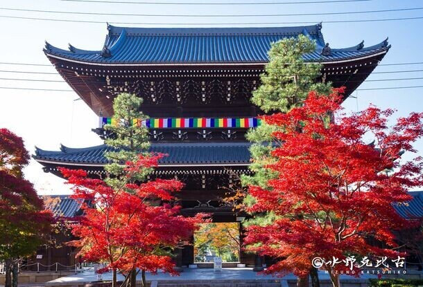 通常非公開の京都『くろ谷 金戒光明寺』　秋の特別拝観を日中拝観・夜間拝観共に11月15日(金)～12月8日(日)開催