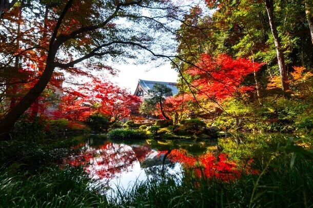 通常非公開の京都『くろ谷 金戒光明寺』　秋の特別拝観を日中拝観・夜間拝観共に11月15日(金)～12月8日(日)開催