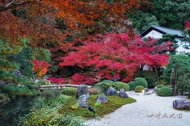 通常非公開の京都『くろ谷 金戒光明寺』　秋の特別拝観を日中拝観・夜間拝観共に11月15日(金)～12月8日(日)開催