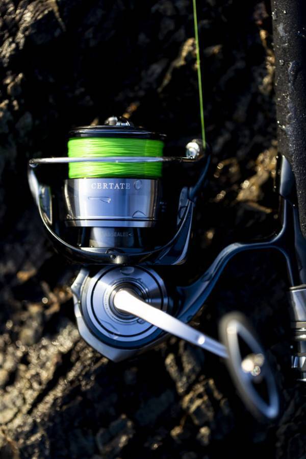 釣りのベストシーズン到来！フィッシングブランド『DAIWA』　リール、ロッド対象シリーズの写真投稿でオリジナルグッズが当たる秋のインスタキャンペーンを9/2開始