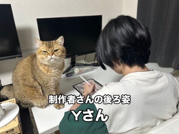 障害者が描くデザインアクセサリーをCAMPFIREにて販売！社会での活躍を後押しする「デザインアクセサリー」の販売プロジェクトを9月30日まで実施