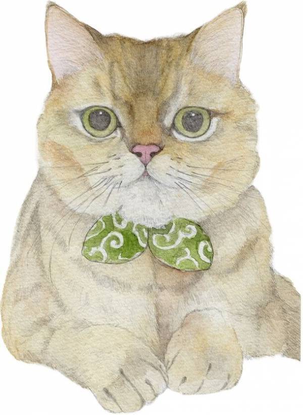 障害者が描くデザインアクセサリーをCAMPFIREにて販売！社会での活躍を後押しする「デザインアクセサリー」の販売プロジェクトを9月30日まで実施