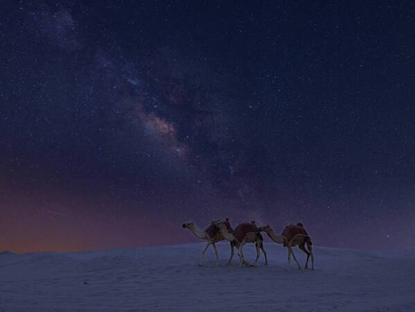 森崎ウィンさんサイン入りパネルなど本作限定フォトスポットが登場「アラビアンナイト ヒーリング　～ 星が舞う夜 ～」2024年9月3日(火)より