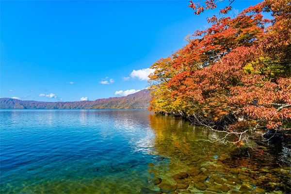 一度は行ってみたい紅葉の名所ランキング！～1位に輝いたのは栃木県の名所！ 阪急交通社が公開～