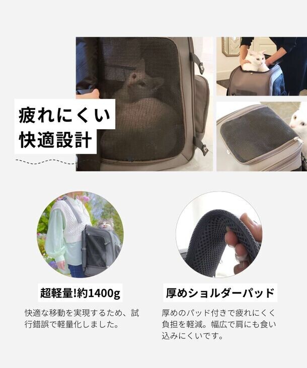 防災にも重宝する！耐荷重12kgの中型犬対応ペットリュックに　シックでおしゃれな新色「グレージュ」が2024年9月に新登場！