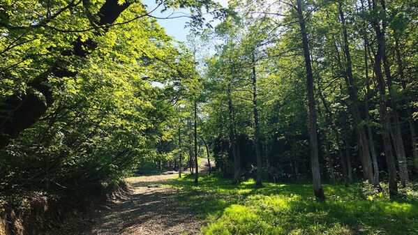 クリエイターを応援！ロッテアライリゾートの期間限定プラン「リゾートスタジオプラン」が9月6日(金)提供スタート