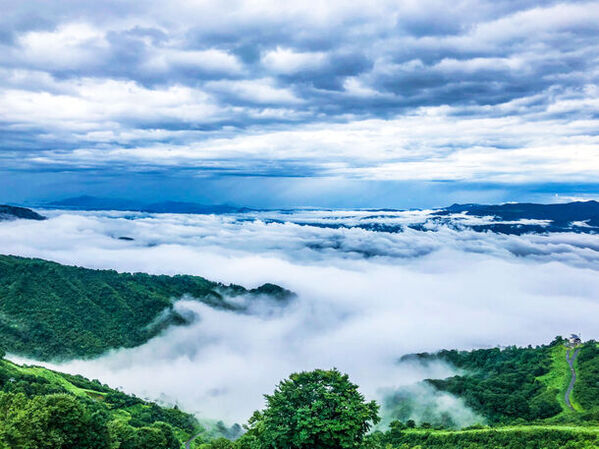 クリエイターを応援！ロッテアライリゾートの期間限定プラン「リゾートスタジオプラン」が9月6日(金)提供スタート