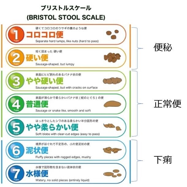 『豆乳摂取による体調改善調査』結果発表　豆乳の継続摂取によって、たんぱく質の動植物バランスが向上・間食も減少