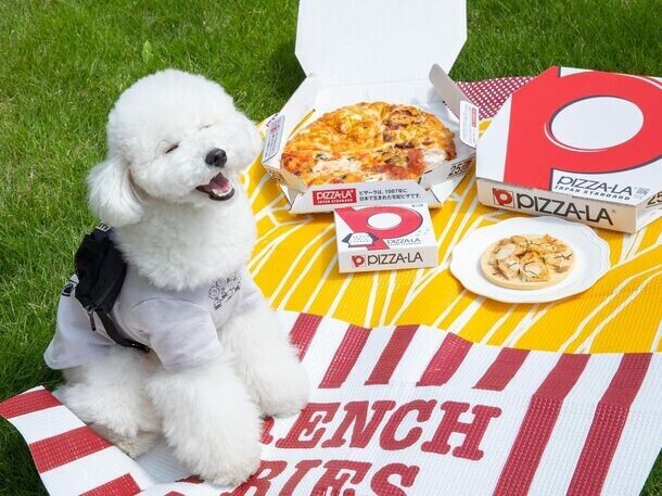 愛犬と一緒に楽しめるコミフデリ×PIZZA-LAのコラボ商品！取り扱い店舗を全国のピザーラ店舗に拡大し9月9日より販売開始