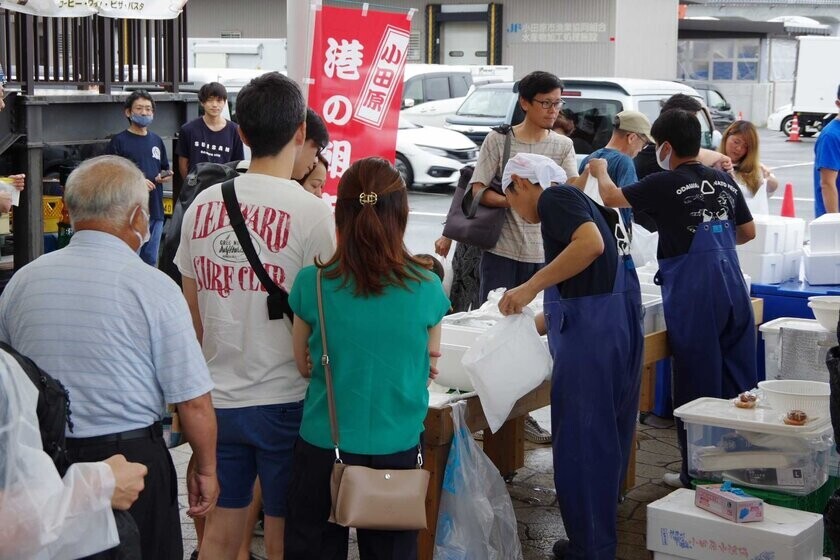 【漁港の駅TOTOCO小田原】小田原漁港で旬の天然カンパチが豊漁につき、緊急イベント発動！！「秋のカンパチフェア」9月13日(金)よりスタート