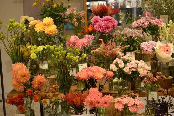 〜サステナブルな花屋を目指して、今、私たちにできること〜日比谷花壇 「サステナチャレンジショップ」Hibiya-Kadan Style 渋谷ヒカリエShinQs店内に9月11日（水）から25日（水）期間限定展開。