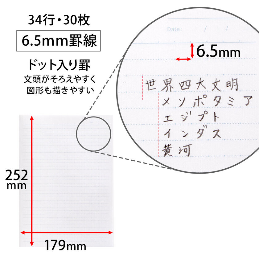 教科ごとに分けて使える新学期の強い味方　トムとジェリー『パックノート』発売発売日：5冊パック：2024年10月4日／3冊パック：2024年12月2日