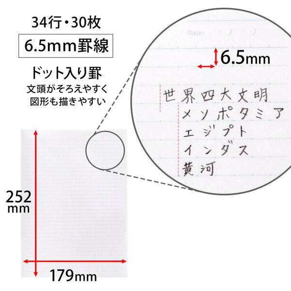 教科ごとに分けて使える新学期の強い味方　トムとジェリー『パックノート』発売発売日：5冊パック：2024年10月4日／3冊パック：2024年12月2日