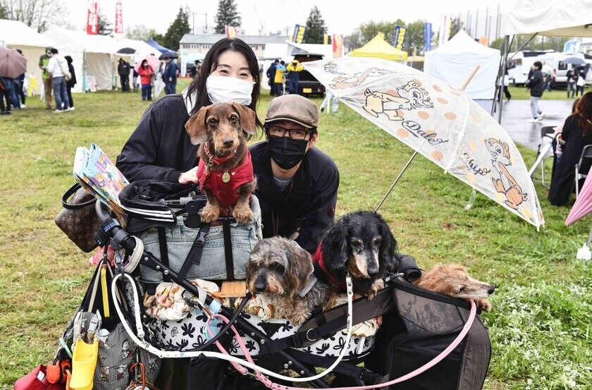 神奈川県下最大級の展示数を誇るキャンピングカー、秋の祭典が相模原で10月12日・13日に開催！