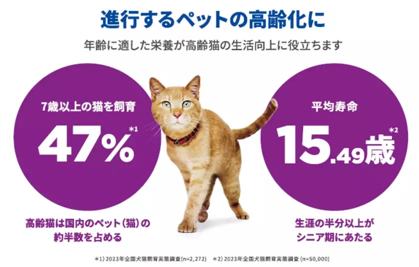 動物病院・専門店限定　猫用シニア製品が新登場！「サイエンス・ダイエット ベット・エッセンシャル」シリーズから9月25日(水)発売