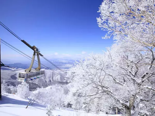 2024-2025シーズン スキー・スノボツアーの長野、新潟など人気エリアを先行販売開始！混雑期の予約先取りができるチャンス