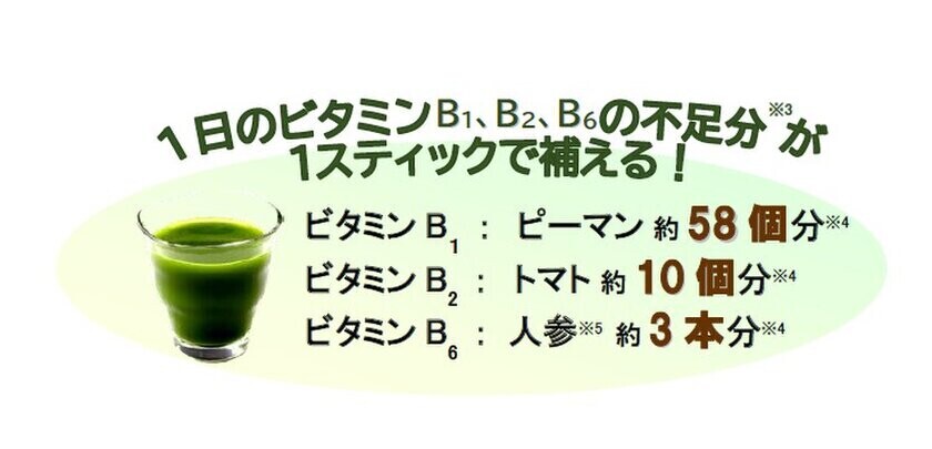 日々のキレイと元気をサポートする自然派栄養ドリンク『酵素熟成ハトムギ青汁』を2024年11月19日(火)に新発売