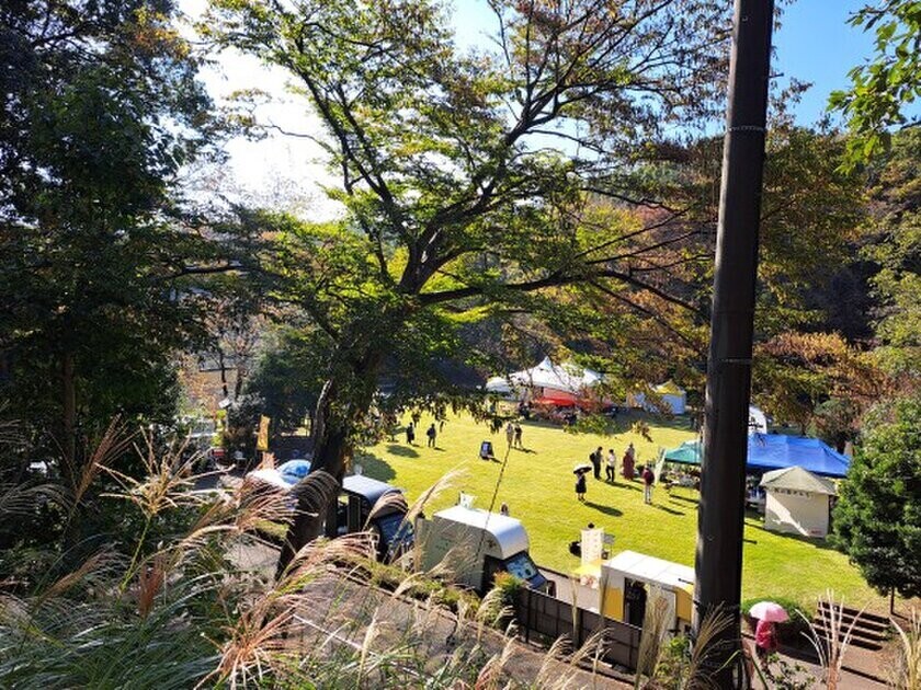 東京・町田市で「来て・見て・体験する」秋のイベント開催　～紅葉ライトアップやおまつり・マルシェなどを満喫しよう！～