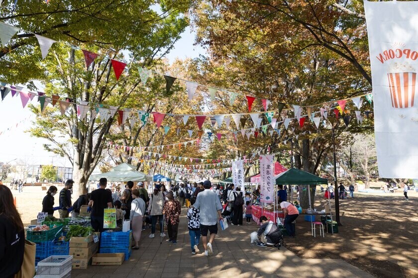 東京・町田市で「来て・見て・体験する」秋のイベント開催　～紅葉ライトアップやおまつり・マルシェなどを満喫しよう！～