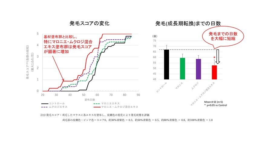 育毛の新時代へ：育毛タンパクCHI3L-1・CXCL5を増強する植物エキス「マロニエエキス」および「ムクロジエキス」の発見