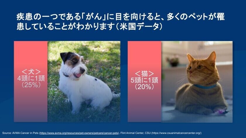 日本ヒルズ 動物病院専売品 製品ライン開発と特別療法食　ヒルズ プリスクリプション・ダイエット エナジーアシスト　待望の新商品を10月1日に発売！