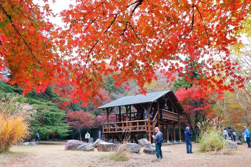 『嵐山渓谷紅葉まつり』をアウトドアの人気スポット、嵐山渓谷バーベキュー場で11月23日・24日に開催