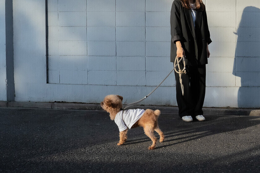 ラクラク着用・愛犬に優しい「オールインワンスマートハーネス」　Makuakeで目標金額“100％”達成！10月30日まで実施　～ネクストゴール200％達成に挑戦～