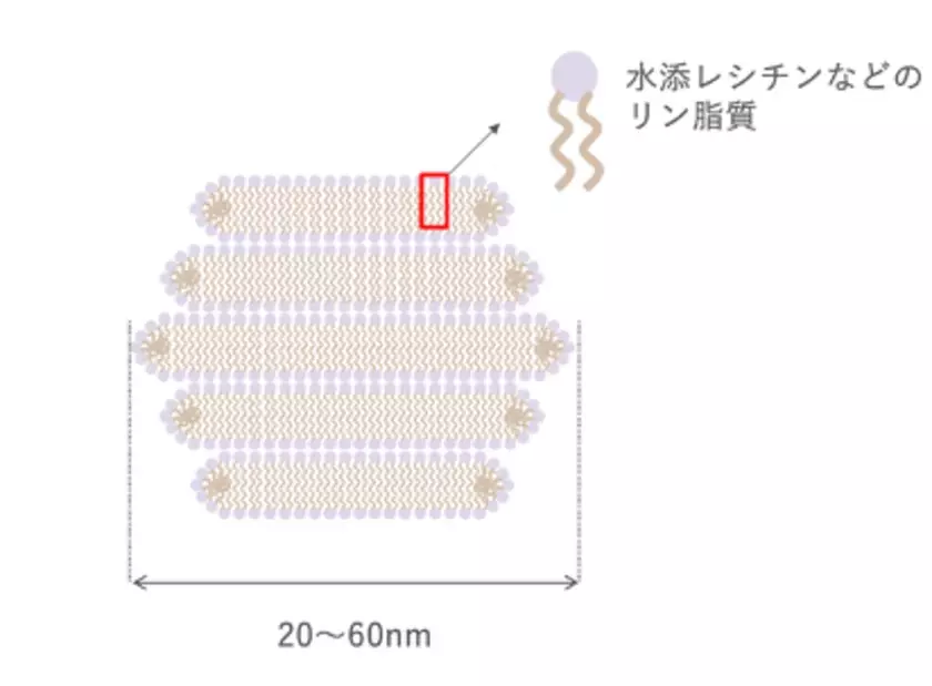 10月25日 香椎化粧品の最高峰エイジングケア*1シリーズ「リポイン116」8年ぶりにリニューアル