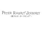 2024年11月2日(土)から今治市タオル美術館にてPETER RABBIT(TM)の3Dプロジェクションマッピングを開催