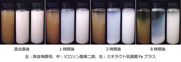 池田糖化工業、鉄強化素材「ミネラクト乳酸菌Feプラス」を上市
