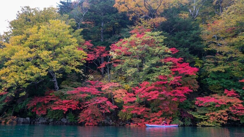 湖上から観る「奥日光紅葉満喫宿泊プラン」と「和香水づくり体験＆法人限定プラン」の予約受付を開始！