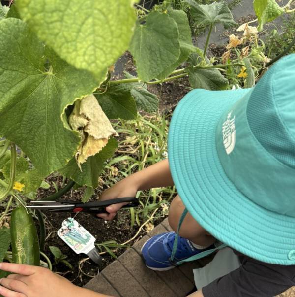 小学生が学ぶお金の仕組み！大阪・守口市のアフタースクール「KIDS FAMILY」で『マネースクール』11/28開催　体験・見学受付中