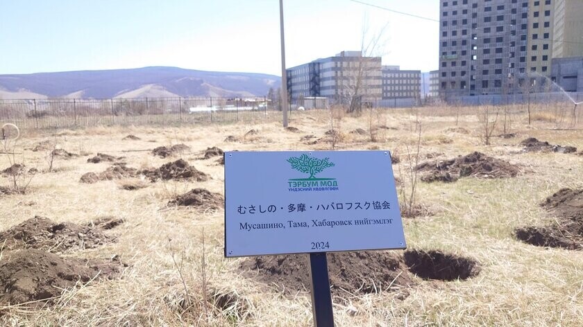 砂漠化が進むモンゴルの小学校で、植樹活動の支援募集を「CAMPFIRE」で12/1まで受け付け　現地での活動参加も可能！