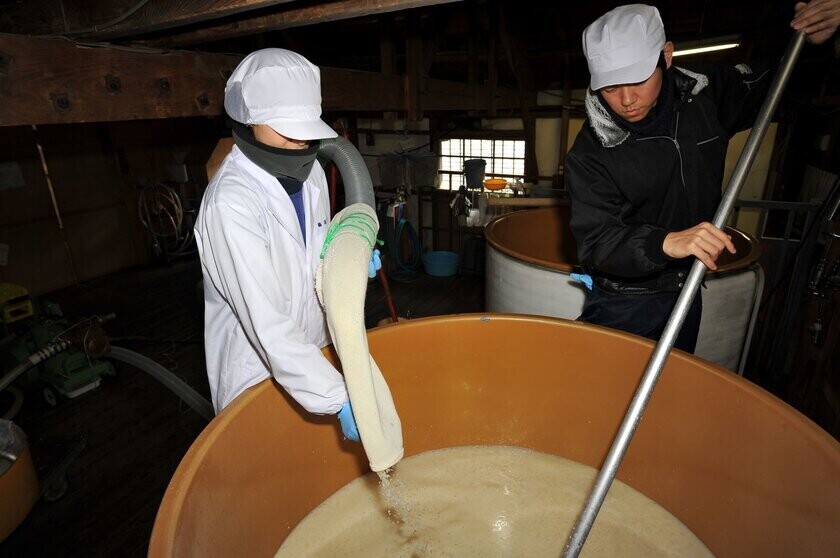 日本の食を支える“発酵県ちば”が誇る発酵文化の魅力を深掘り！