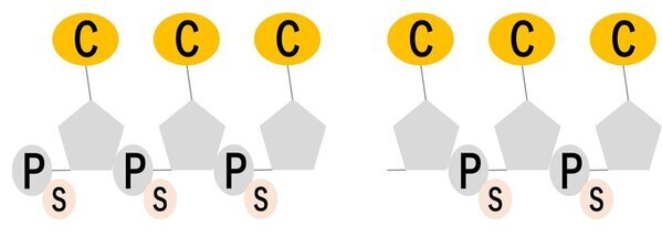 フォーデイズ「末端リン酸除去トリヌクレオチドCCC」他、物質特許取得のお知らせ