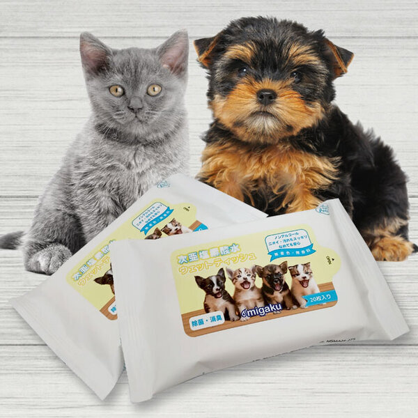 オリジナル印刷可能な「ペット用ウェットティッシュ」発売！10％割引イベントも11月末まで開催中