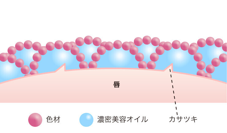 うるおい逃さず、色もち続く。マキアージュ「とろける美膜リップ」と&amp;TEAMがホリデーシーズンを盛り上げる！スペシャルキャンペーンを本日22日(火）より開始！