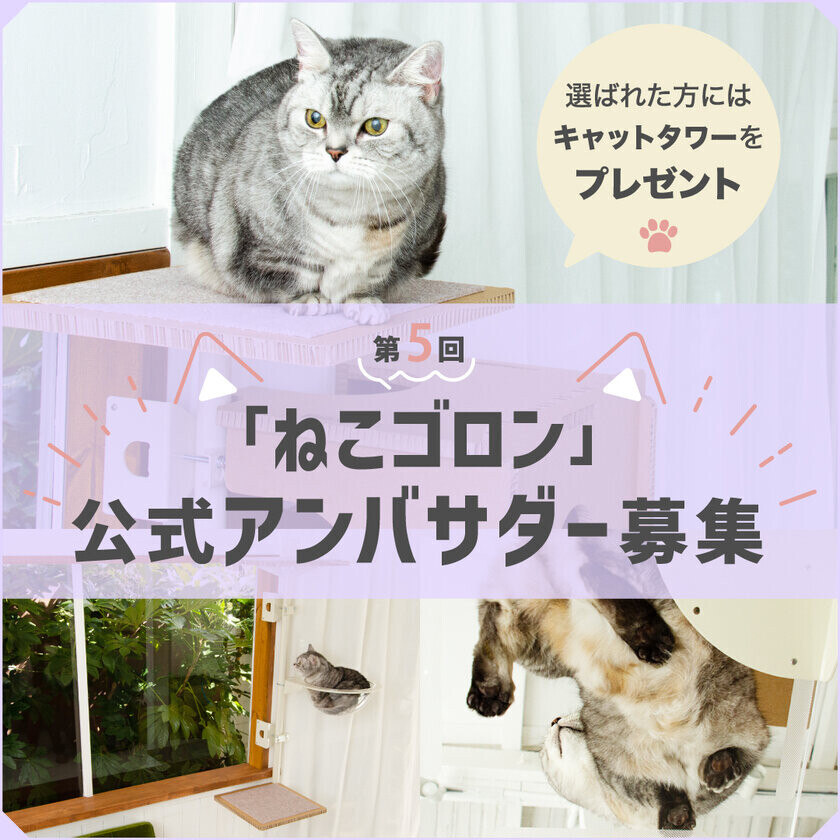 窓枠につけるキャットタワー！Instagramにて『ねこゴロン』第5回公式アンバサダーを11月1日から11月10日まで募集