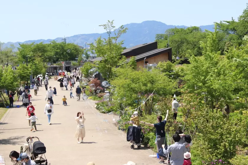 「草津市市制施行70周年記念誌」を発行！～まちの魅力がたくさん詰まった1冊が完成～