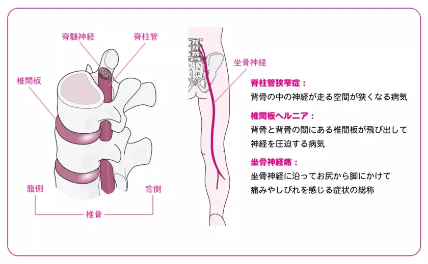 脚の痛み・しびれのセルフケアを一流治療家が大公開！書籍『園部式 脚の痛み・しびれ改善メソッド』10/28発売