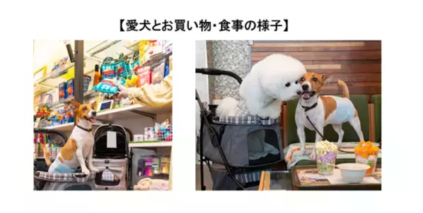 「GO WITH わんこ プロジェクト」第6弾『マナーアップキャンペーン』開催