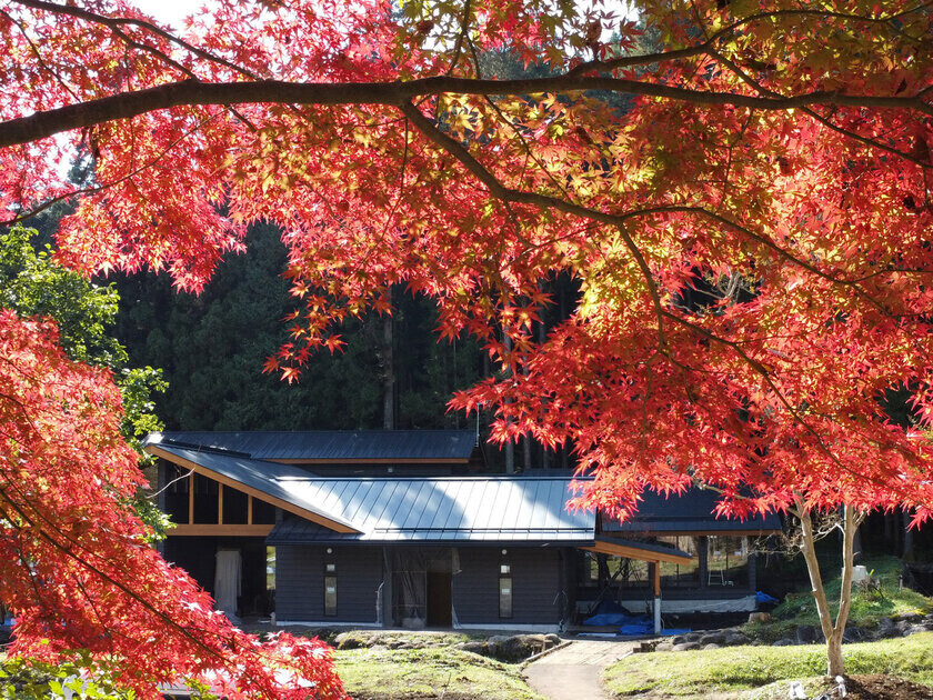 栃木のグランピングリゾート「ブリリアントヴィレッジ日光」にて紅葉や幻想的なイルミネーションを楽しめる秋冬プランを販売！