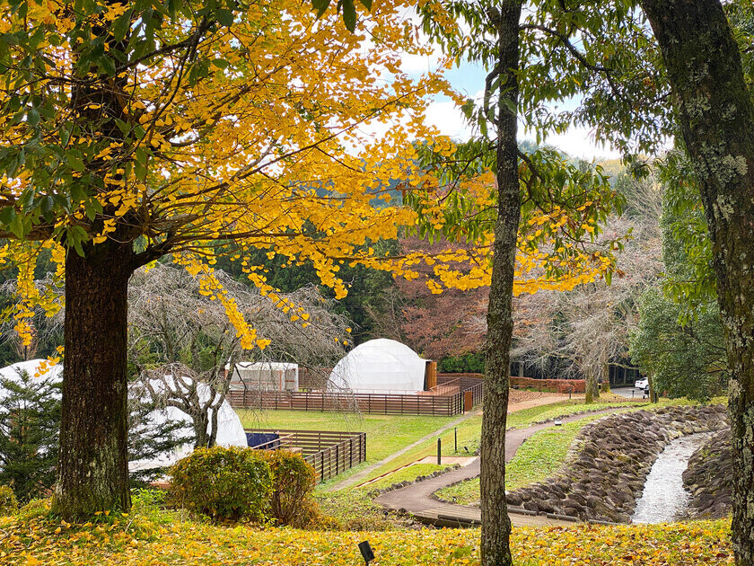 栃木のグランピングリゾート「ブリリアントヴィレッジ日光」にて紅葉や幻想的なイルミネーションを楽しめる秋冬プランを販売！