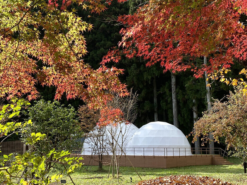 栃木のグランピングリゾート「ブリリアントヴィレッジ日光」にて紅葉や幻想的なイルミネーションを楽しめる秋冬プランを販売！