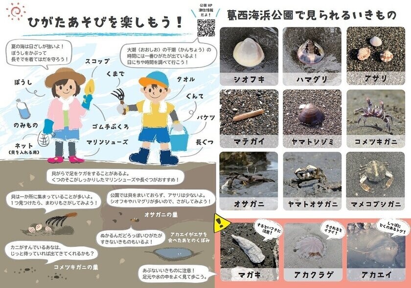 第40回「都市公園等コンクール」にて「葛西海浜公園」が国土交通省都市局長賞を受賞